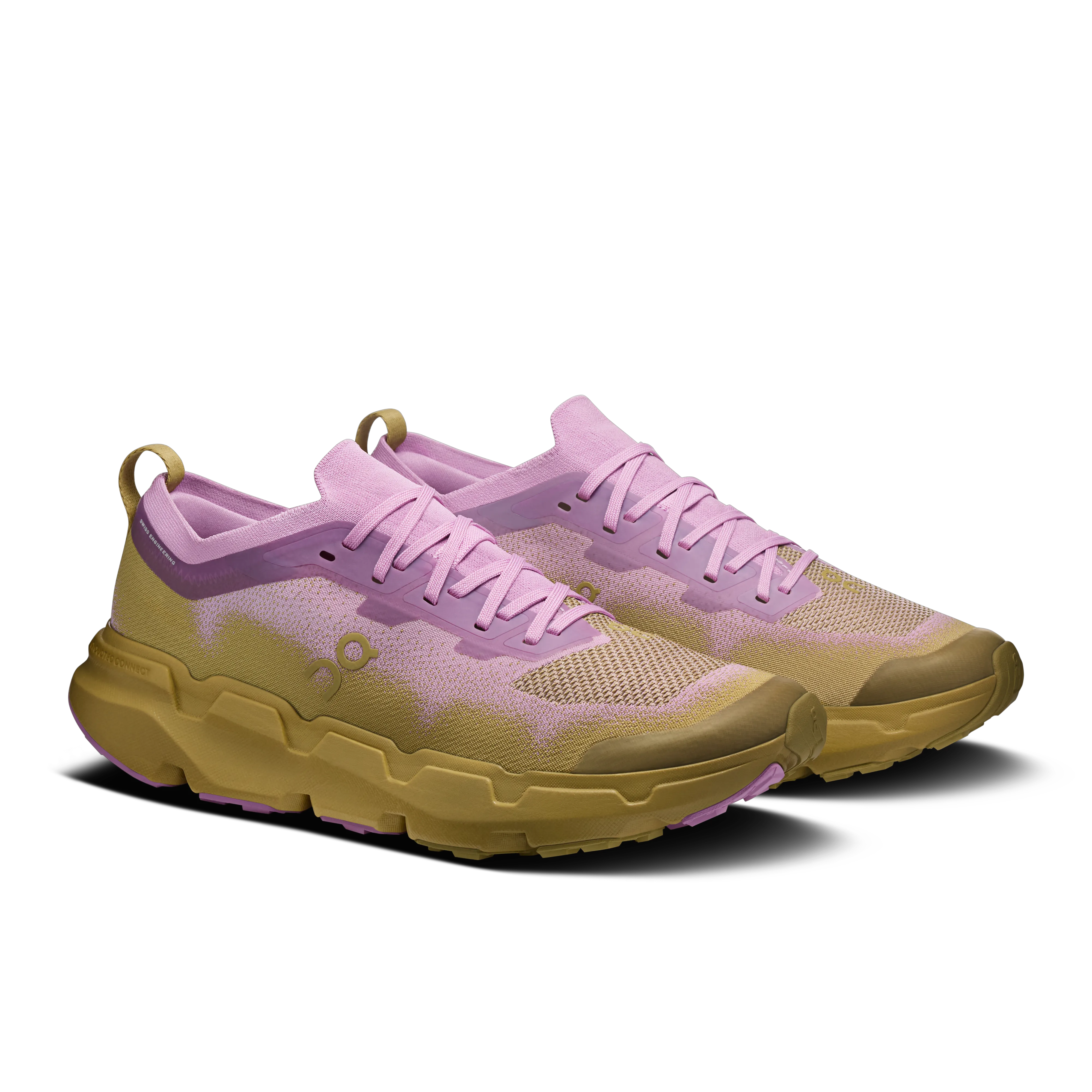 Sakura Safari