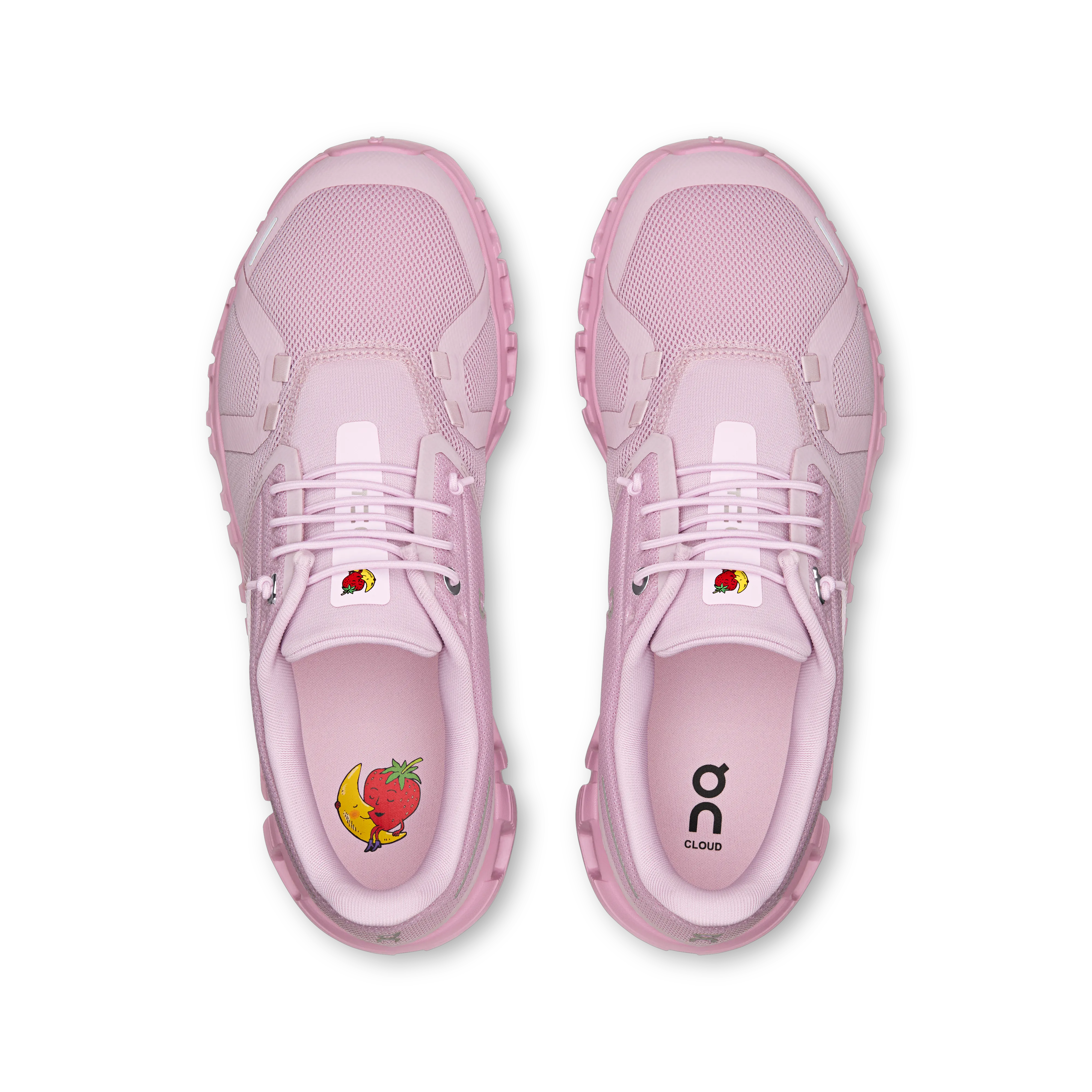 Aster Begonia