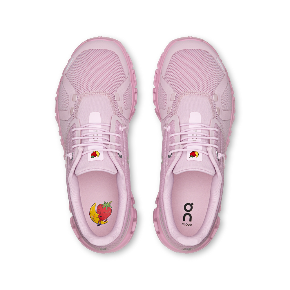 Aster Begonia