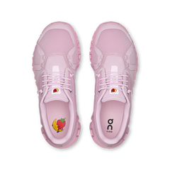 Aster Begonia