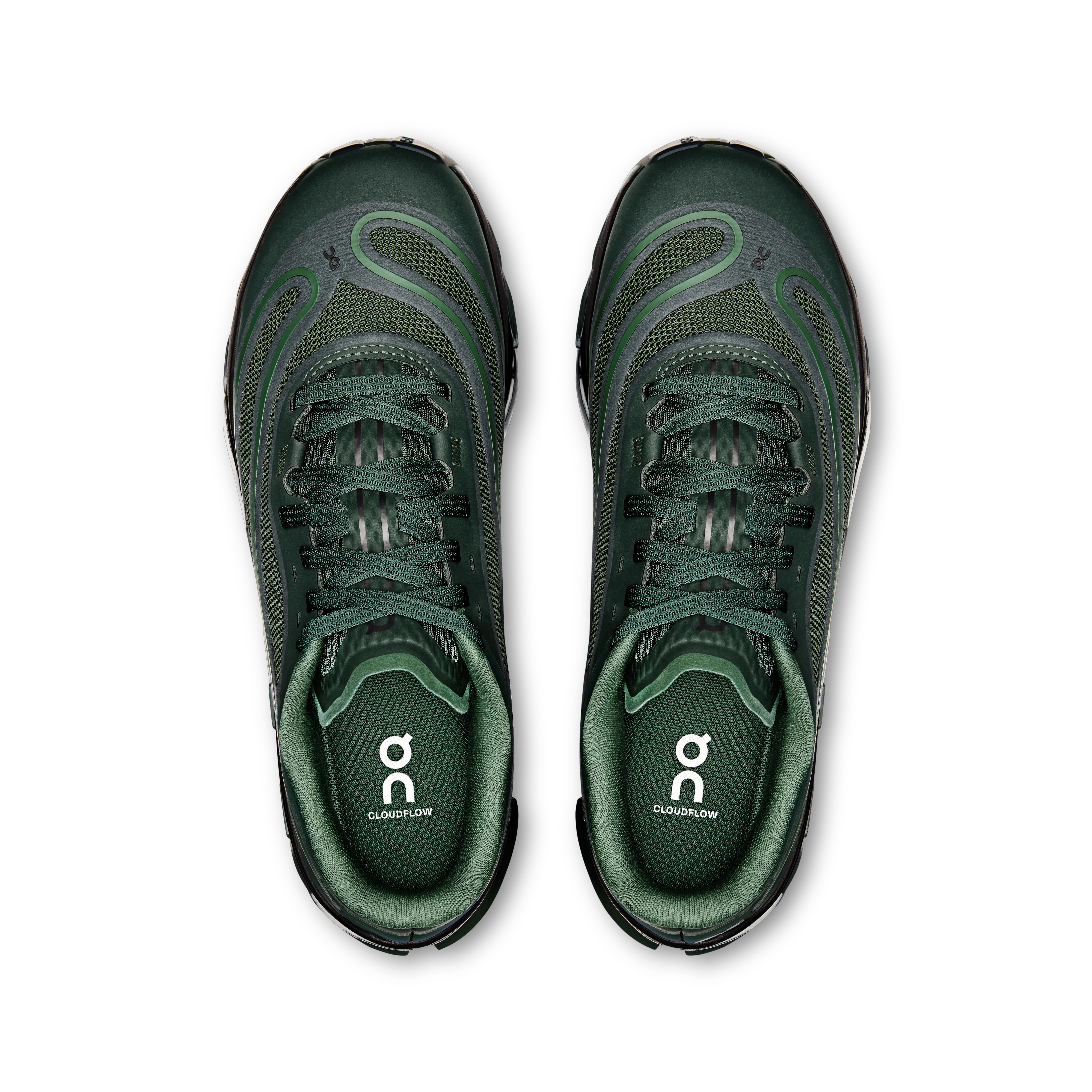 Obsidian Evergreen
