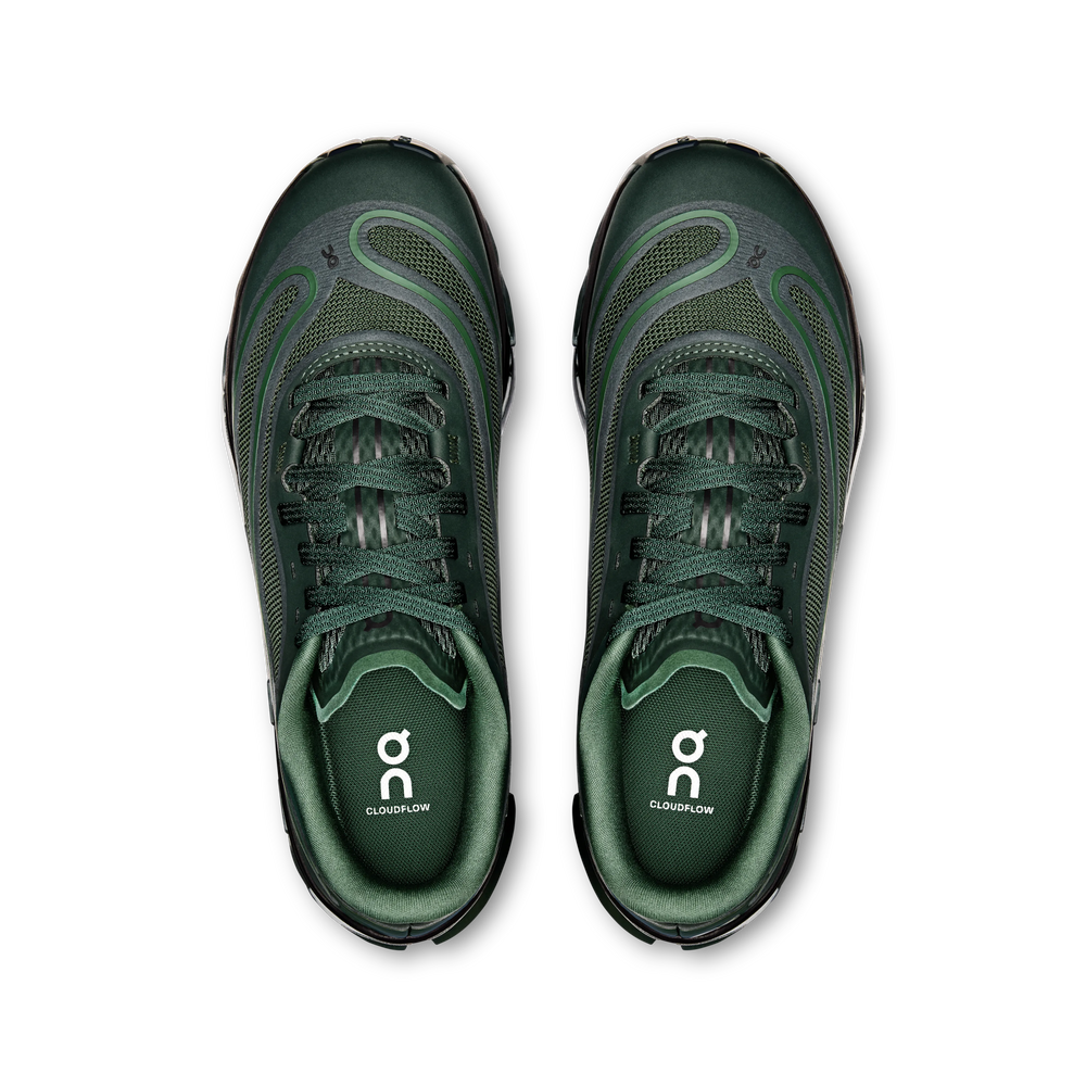 Obsidian Evergreen