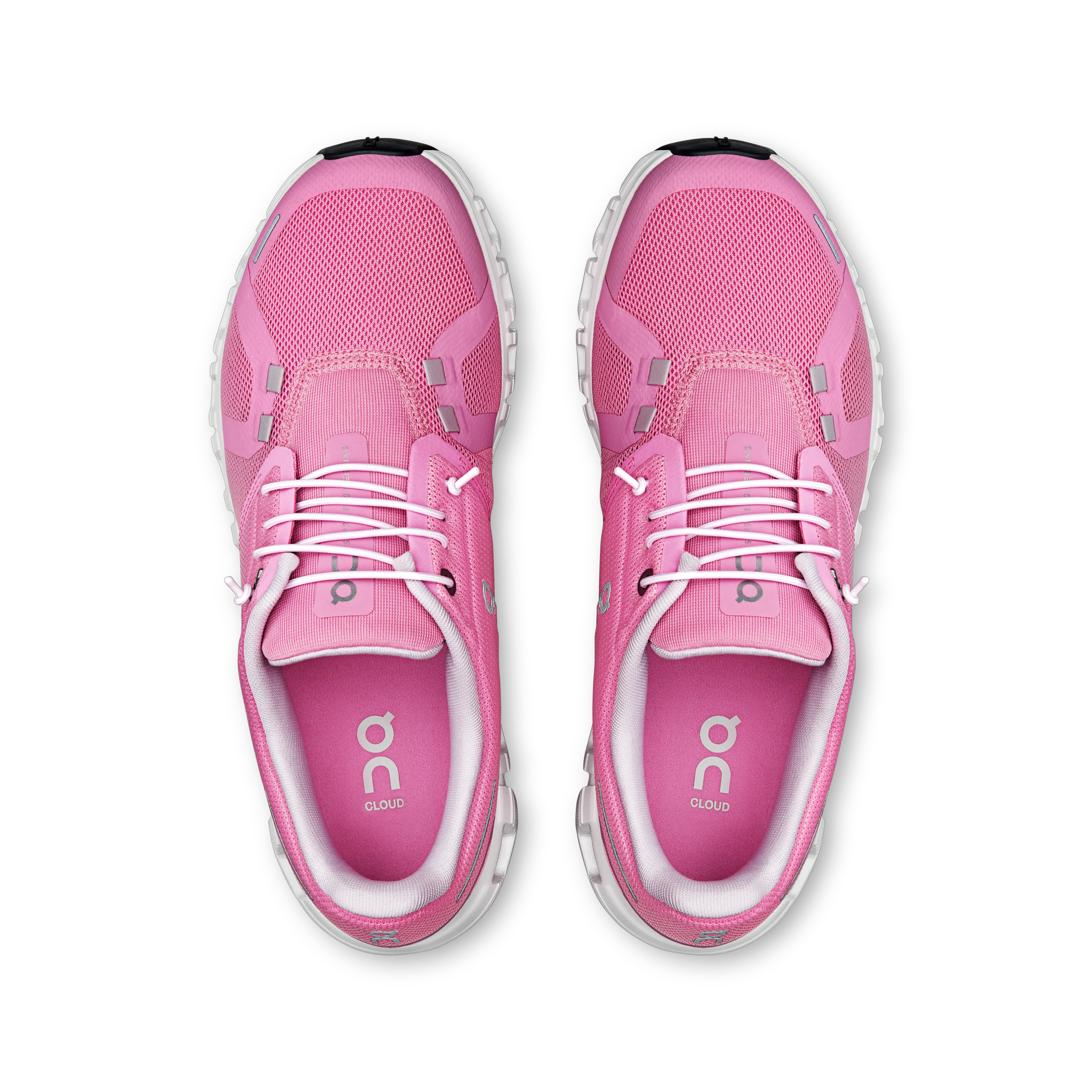 Raspberry White