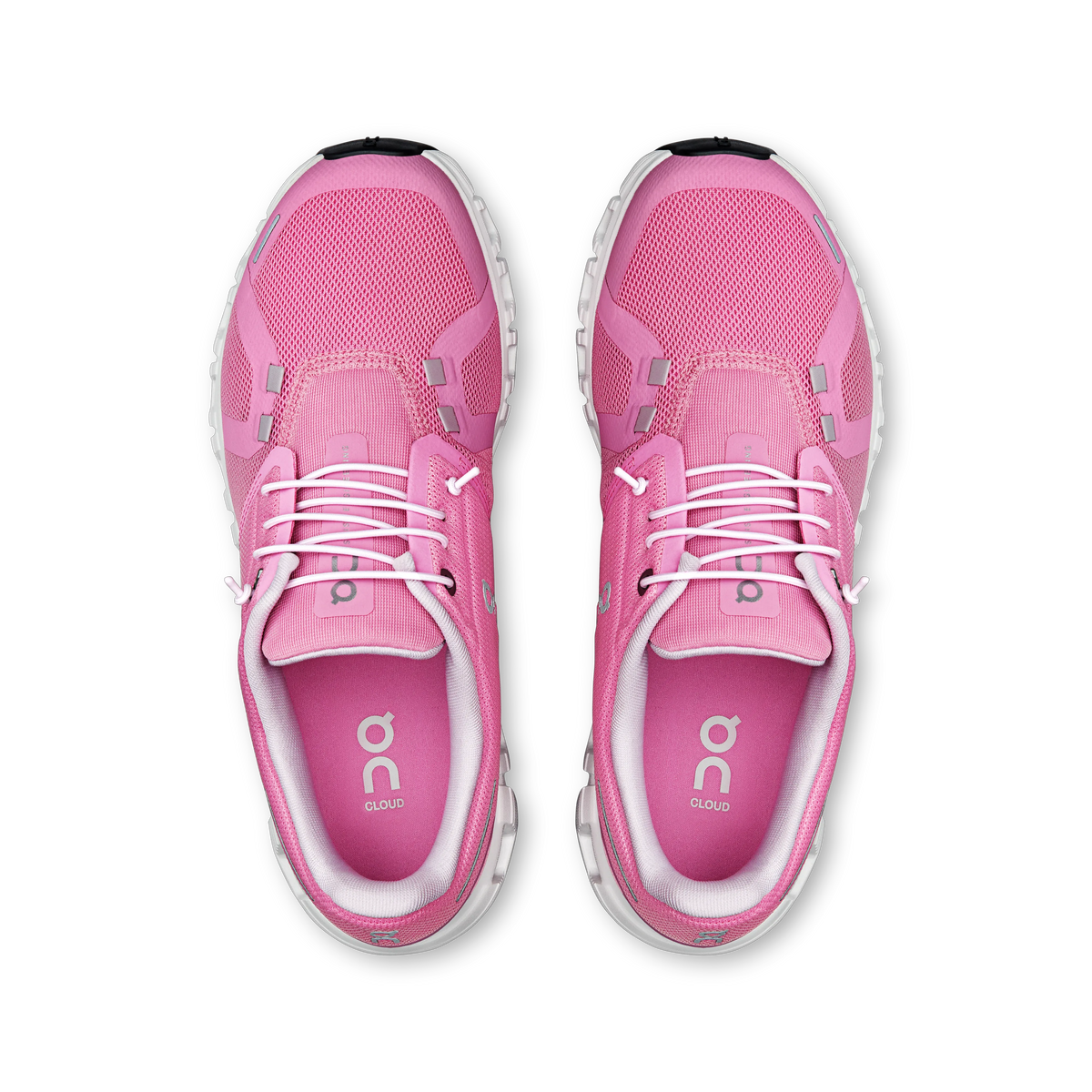 Raspberry White