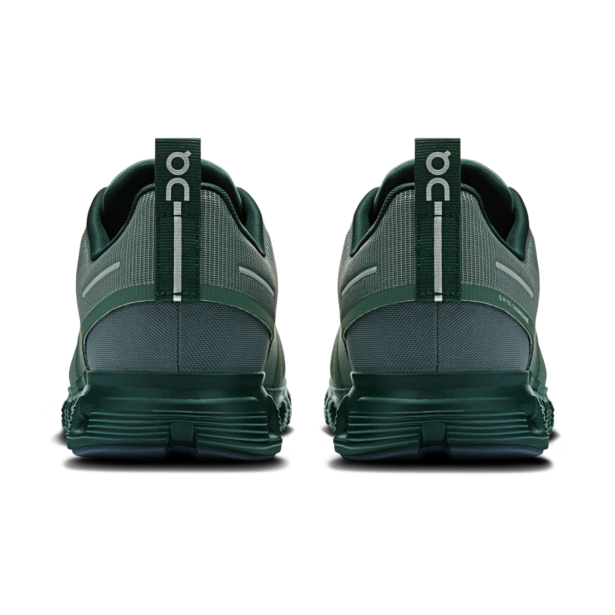 Olive Evergreen