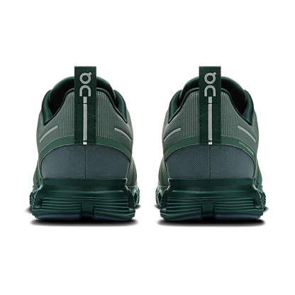 Olive Evergreen