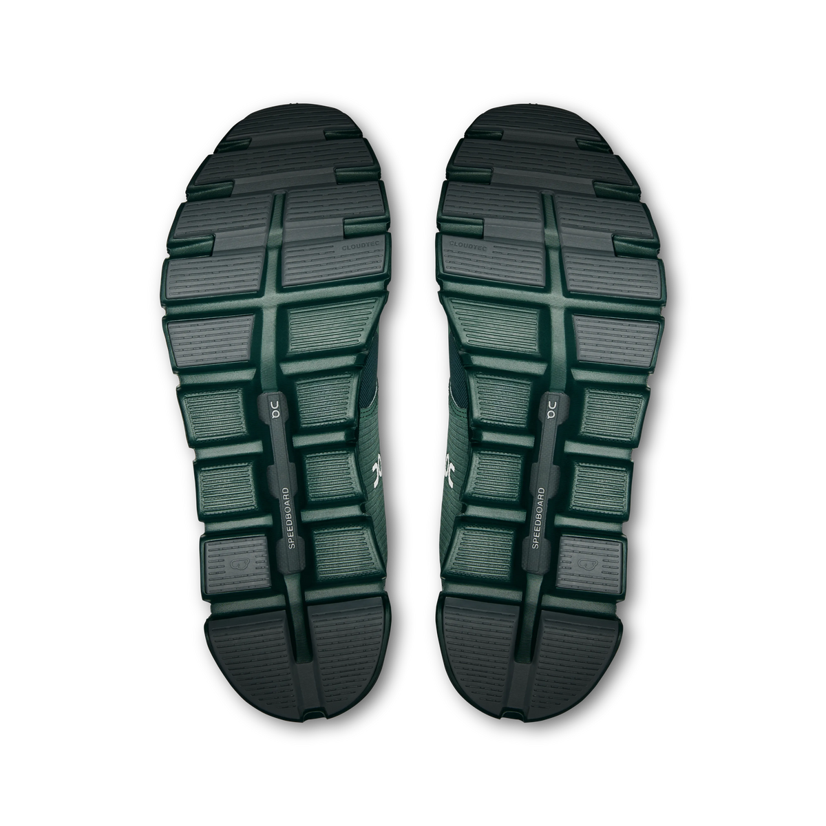 Olive Evergreen