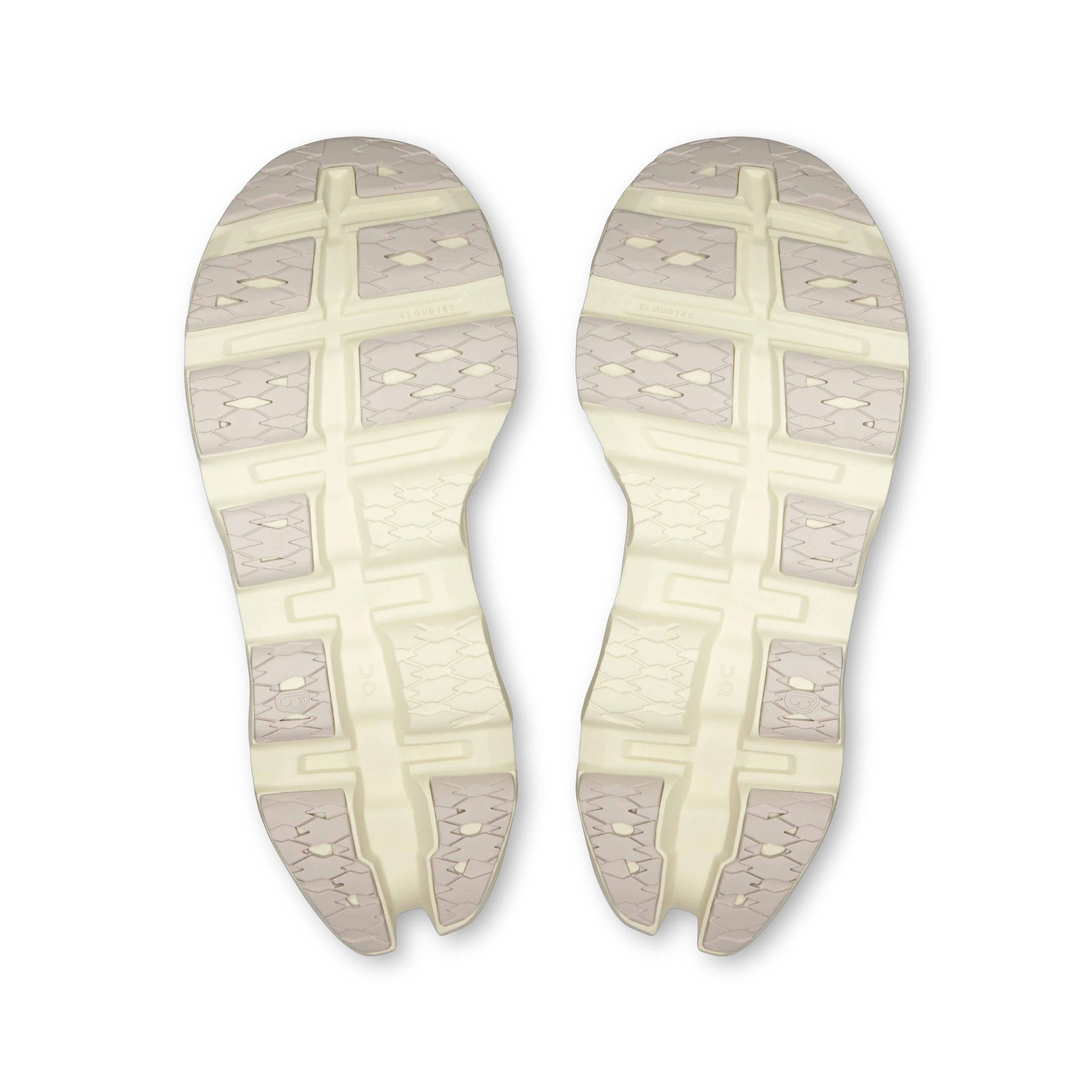Ivory Seedling