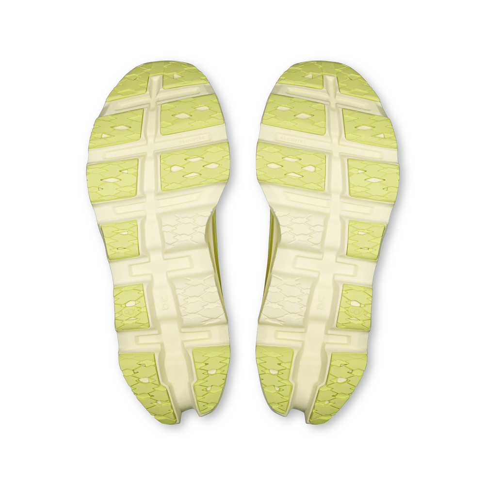 Limelight Seedling