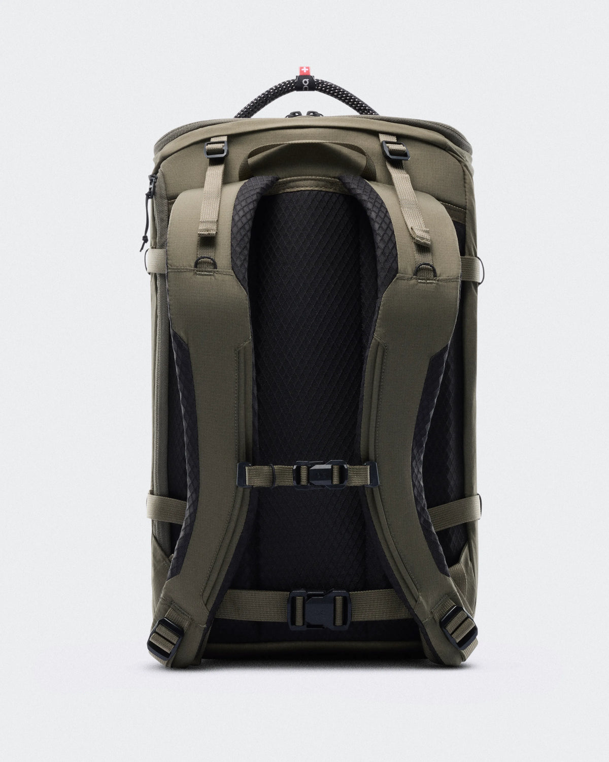 Olive Black