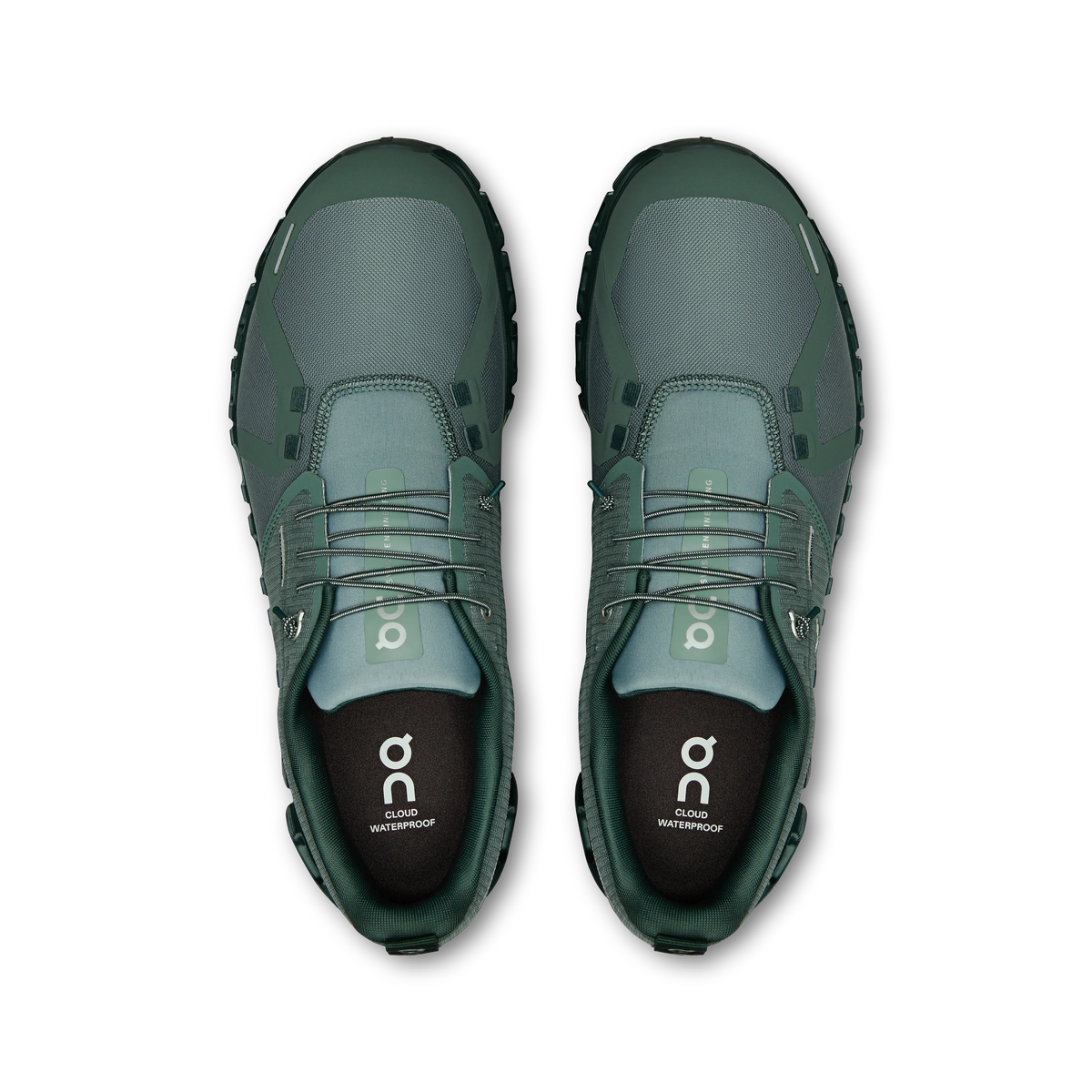 Olive Evergreen