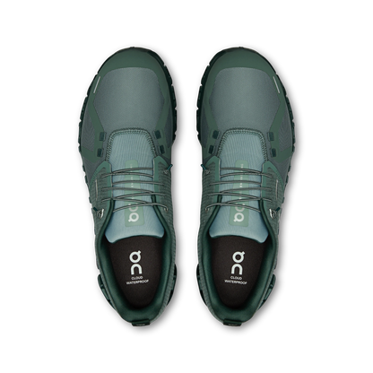 Olive Evergreen