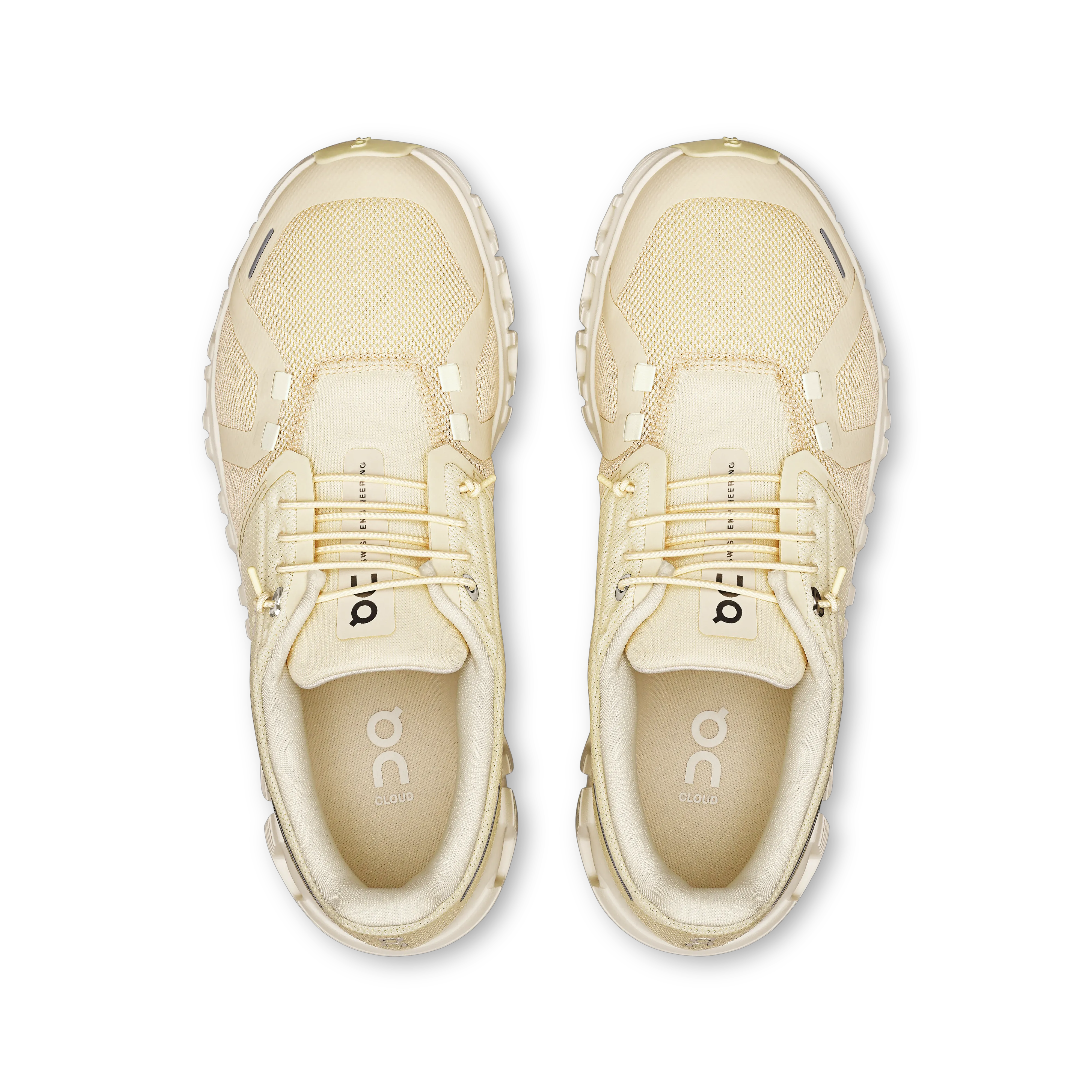 Castor Ivory