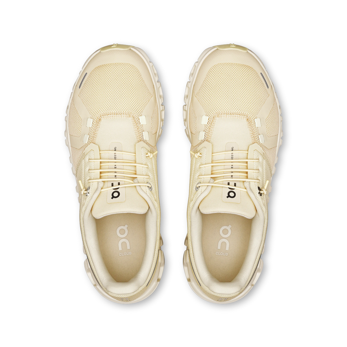 Castor Ivory
