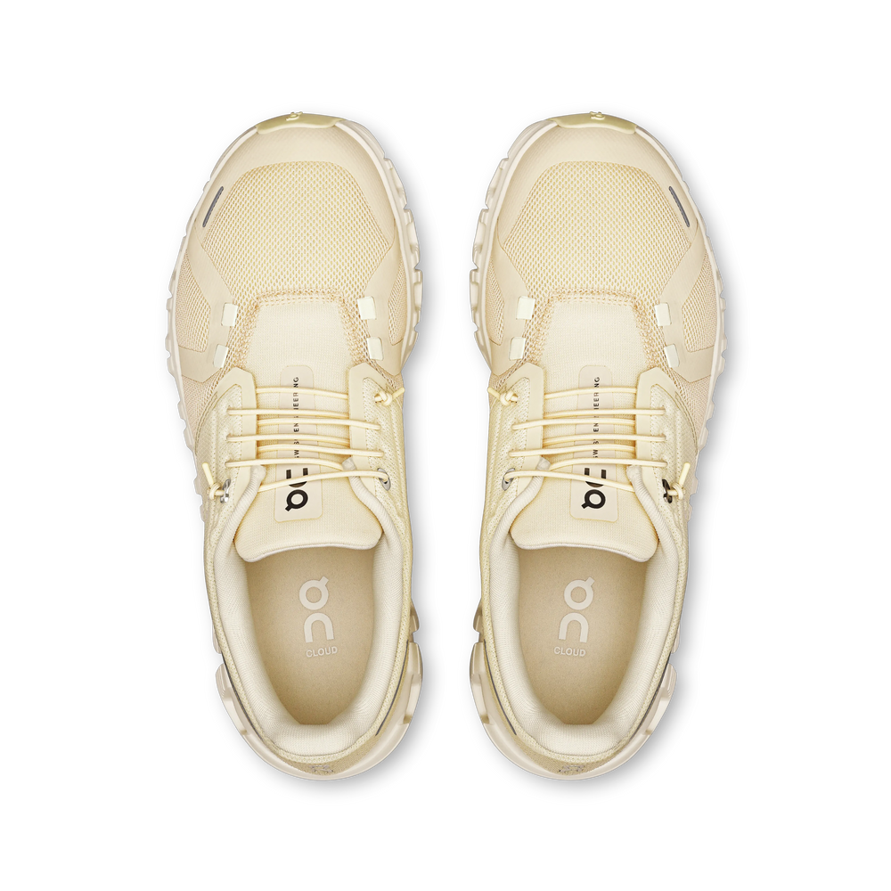 Castor Ivory