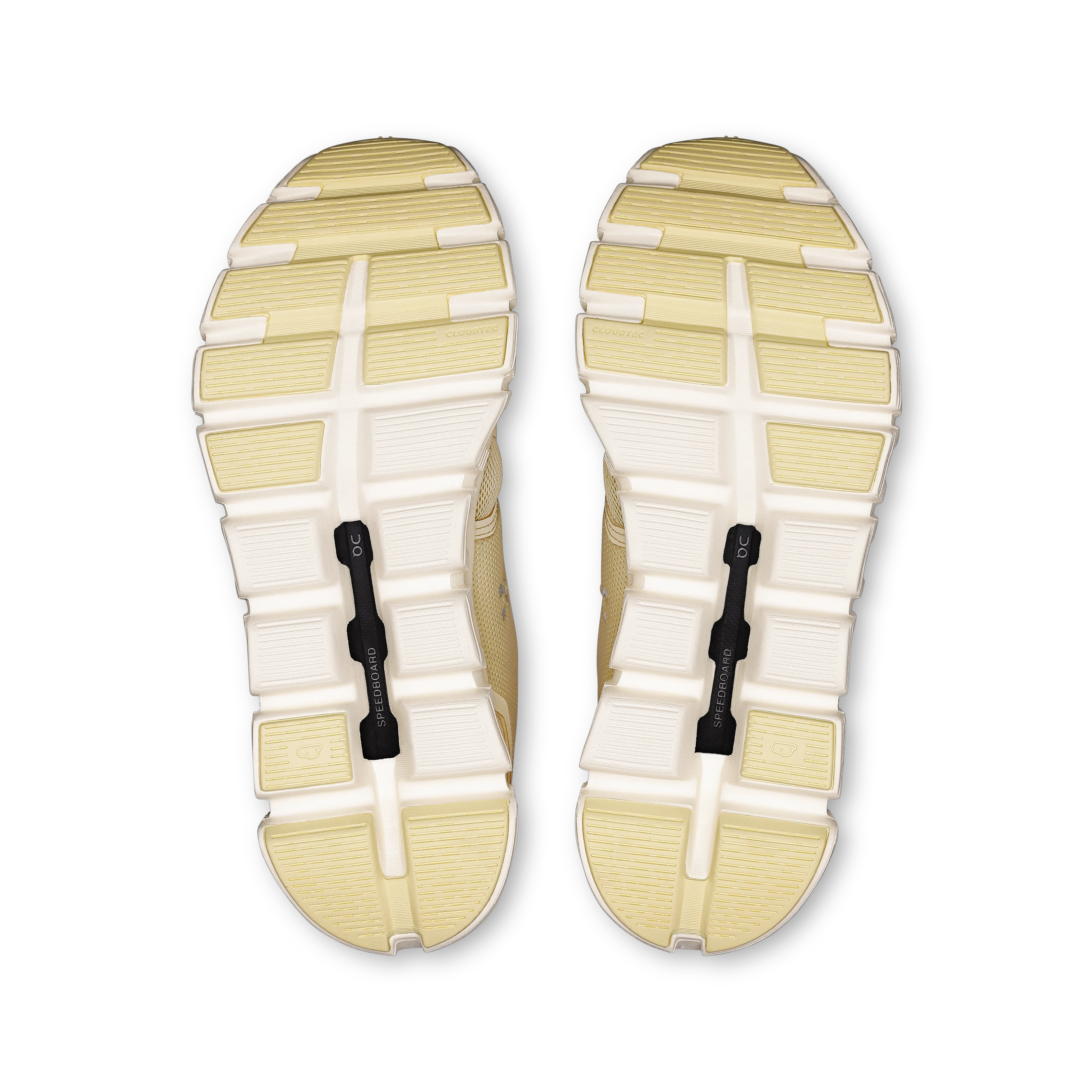 Castor Ivory