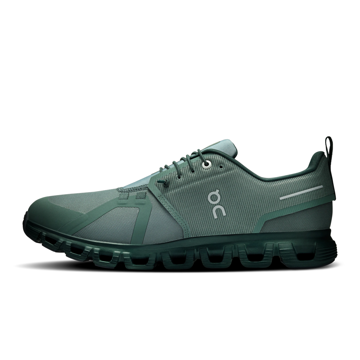 Olive Evergreen