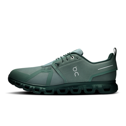 Olive Evergreen