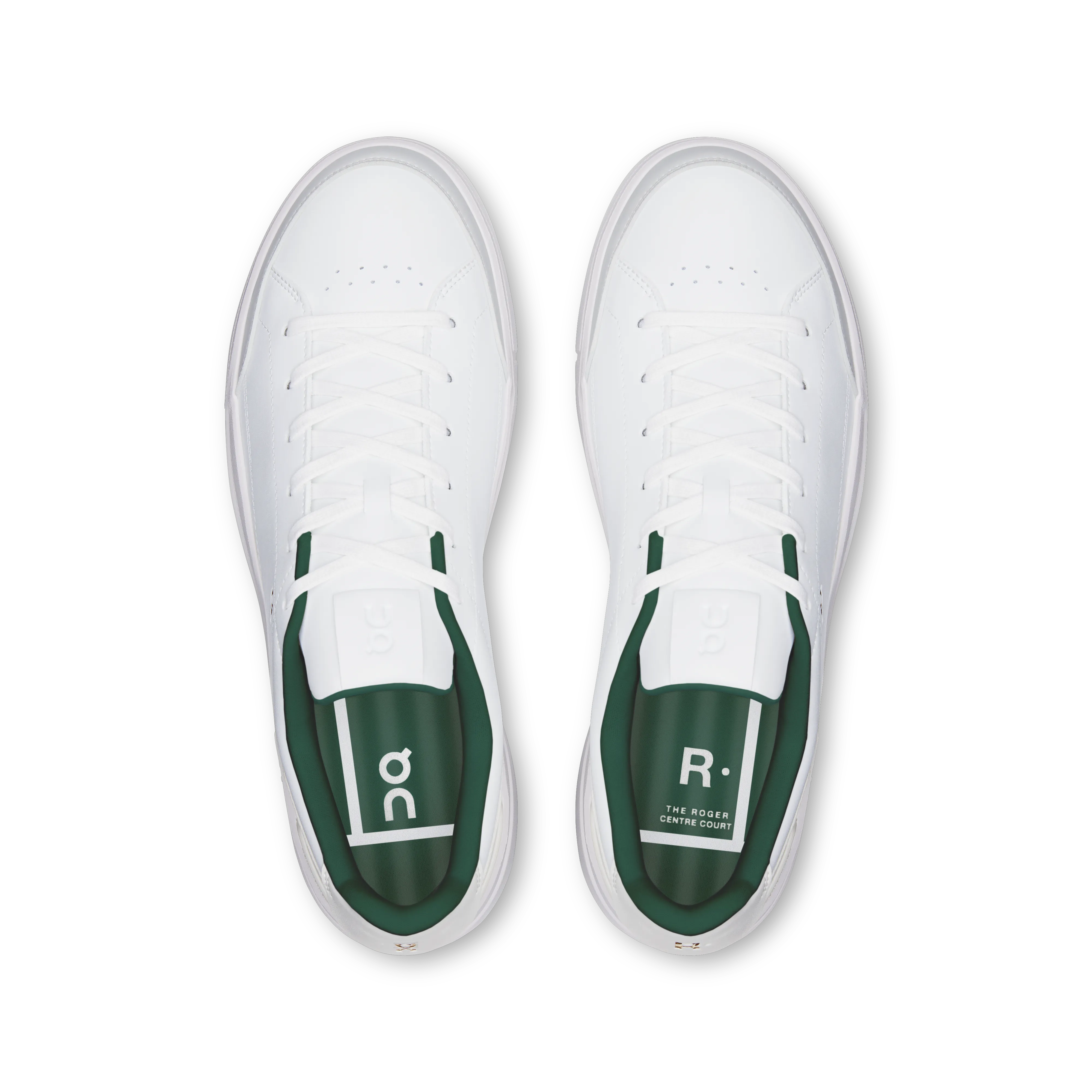 White Evergreen