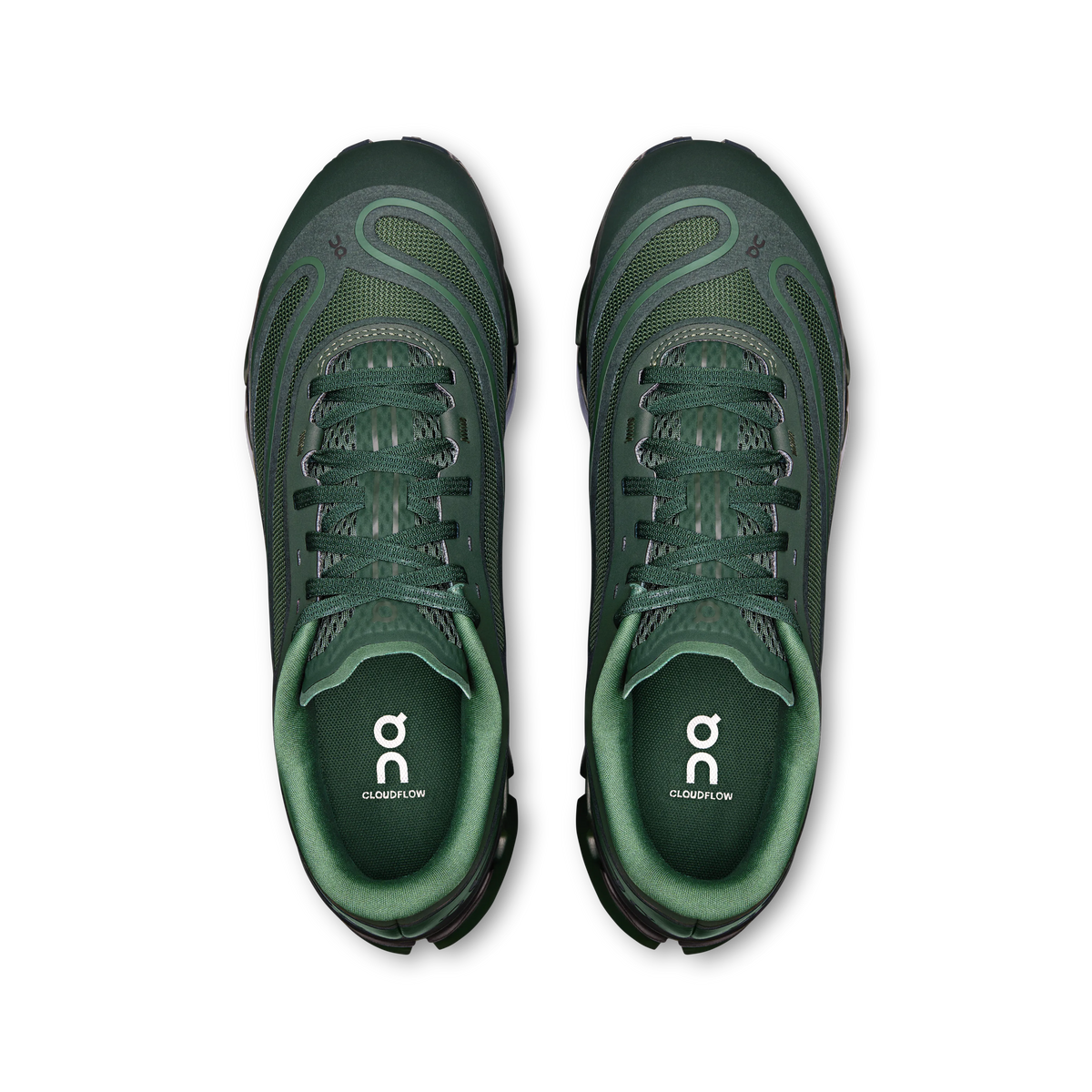 Obsidian Evergreen